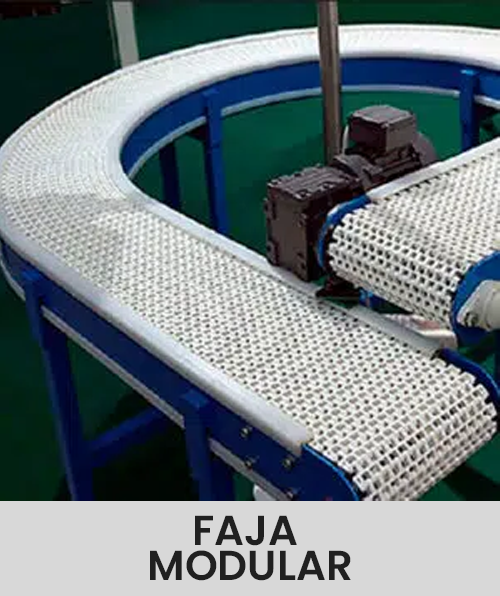 Descripción de la imagen